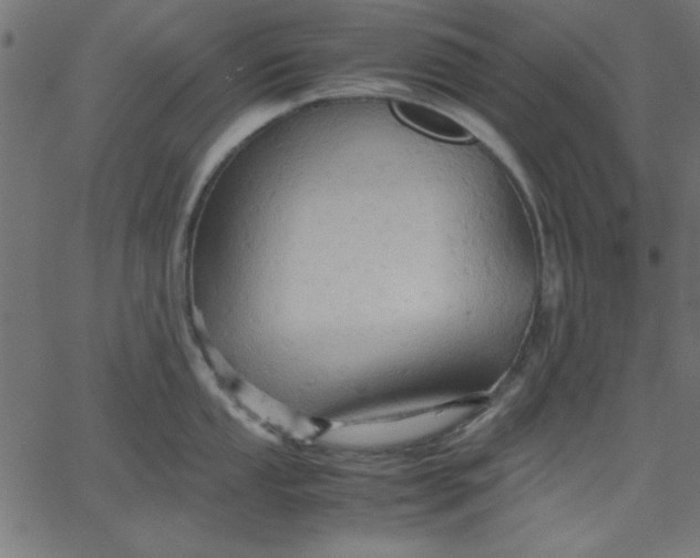 X0000067831053200604271549