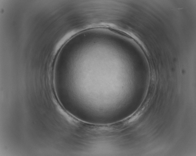 X0000067831054200604271549