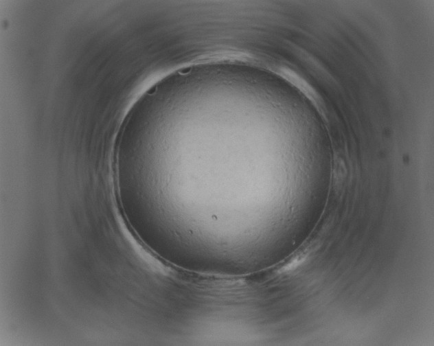 X0000067831055200604271549