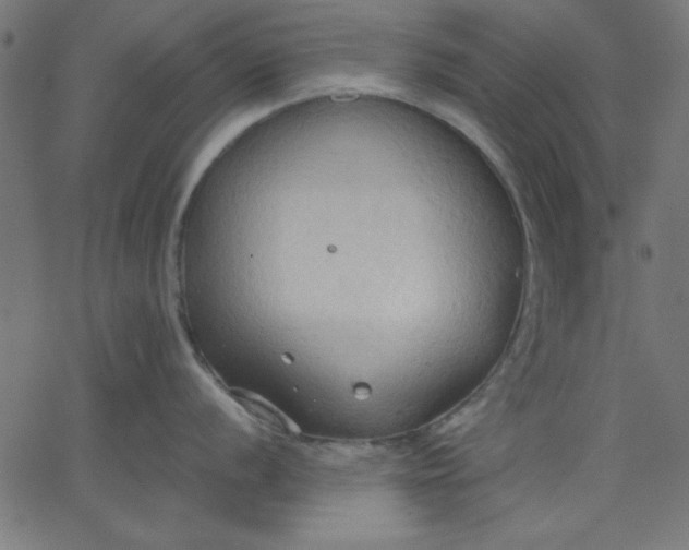 X0000067831056200604271549