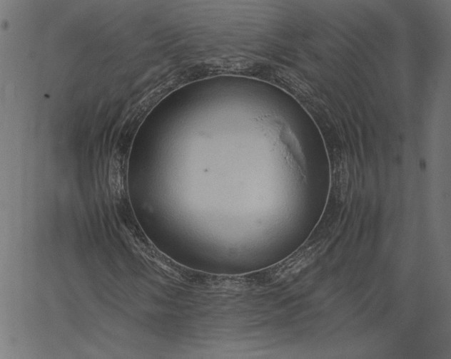 X0000067831058200604271549