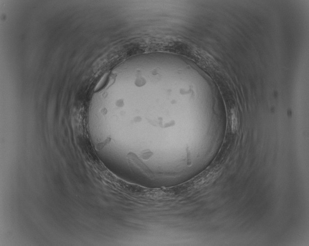 X0000067831059200604271549