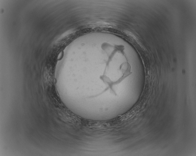 X0000067831063200604271549