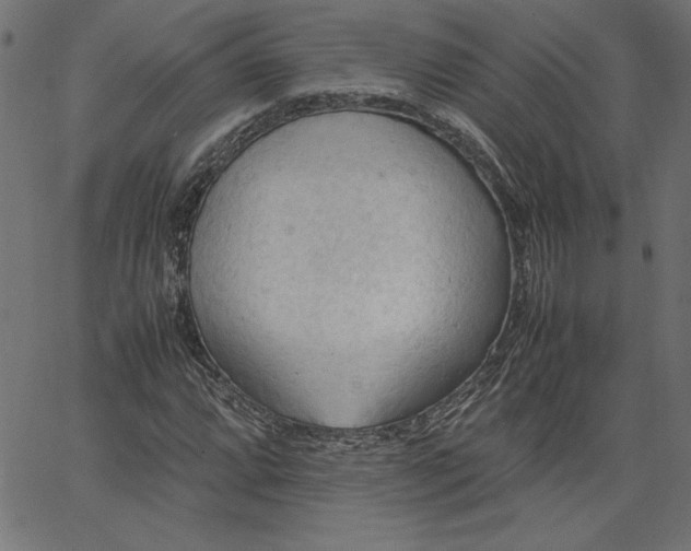 X0000067831064200604271549