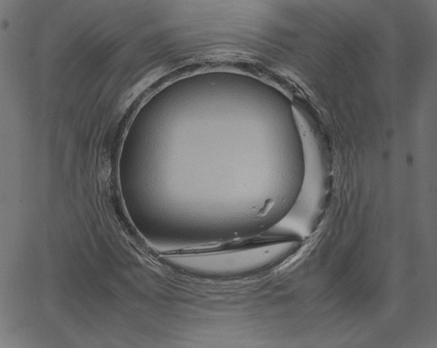 X0000067831065200604271548