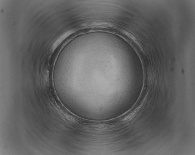 X0000067831066200604271548