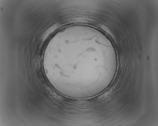 X0000067831067200604271548