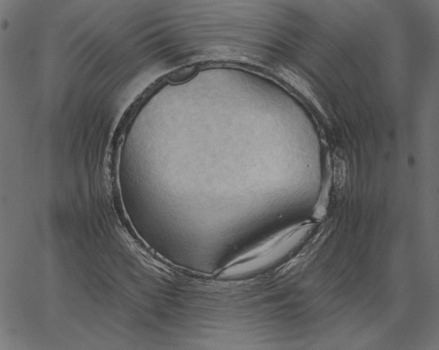 X0000067831068200604271548