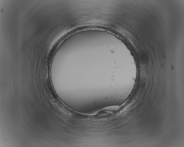 X0000067831069200604271548