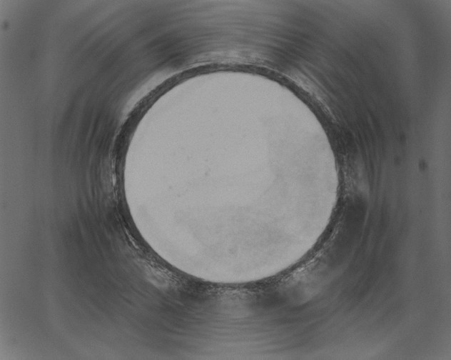 X0000067831070200604271548