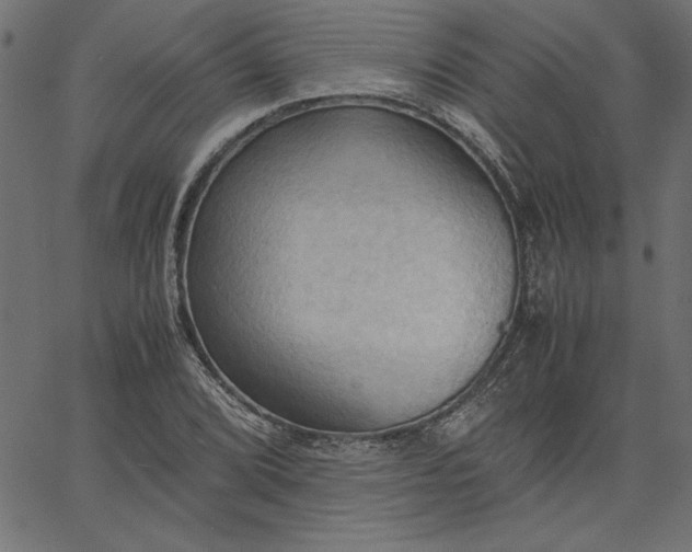 X0000067831072200604271548