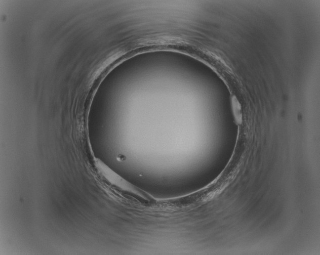 X0000067831073200604271548