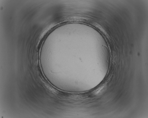 X0000067831075200604271548