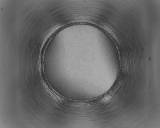 X0000067831076200604271548