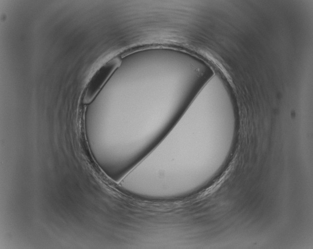 X0000067831077200604271548