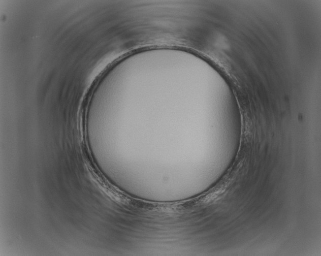 X0000067831078200604271548