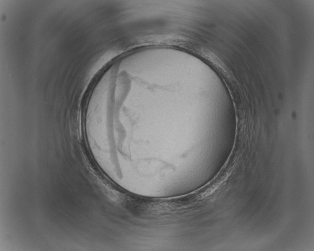 X0000067831079200604271548