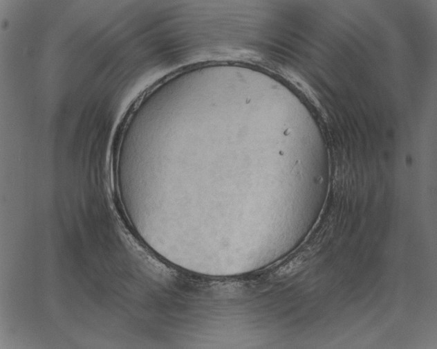 X0000067831080200604271548