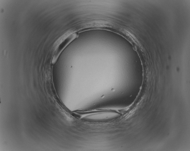 X0000067831081200604271548