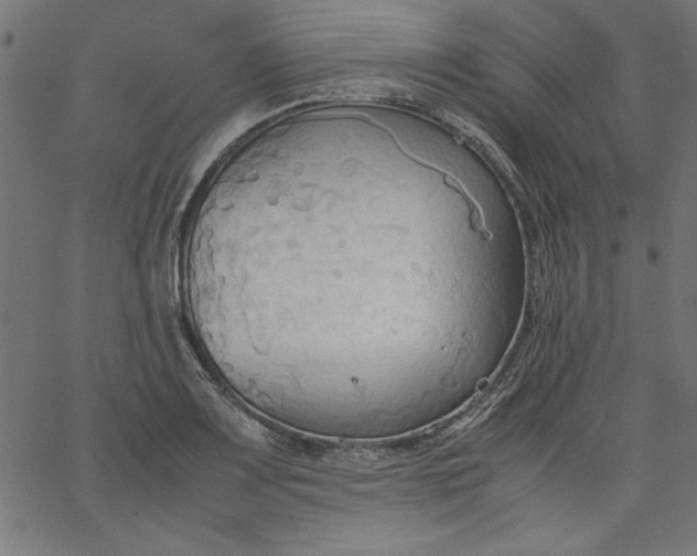 X0000067831083200604271548