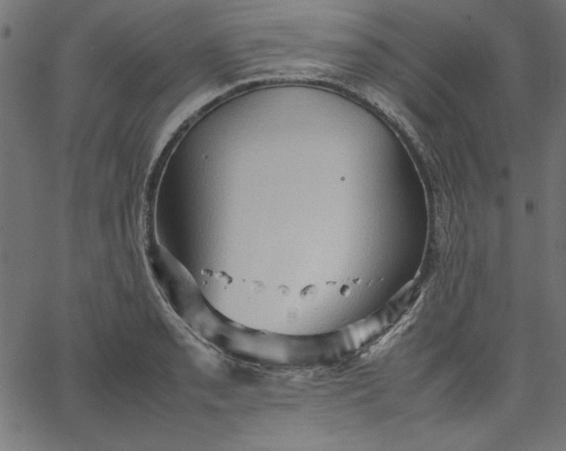 X0000067831085200604271548