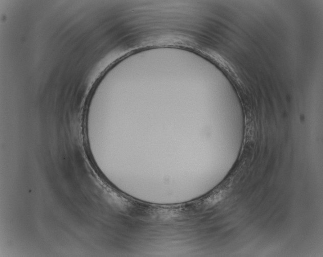 X0000067831086200604271548