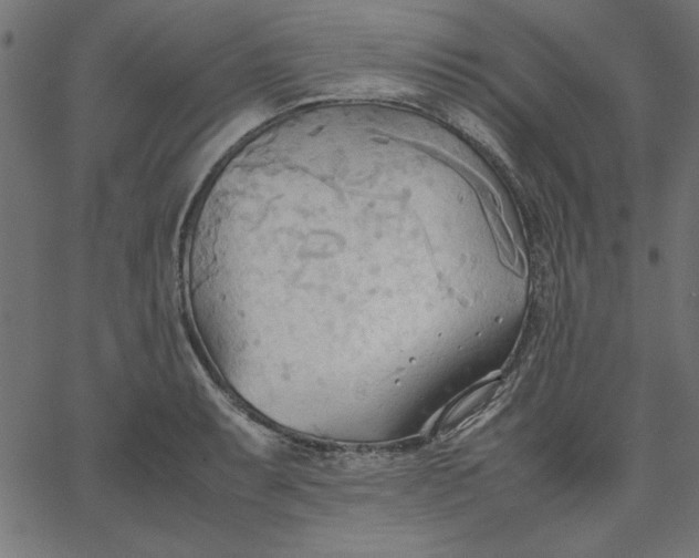 X0000067831087200604271548