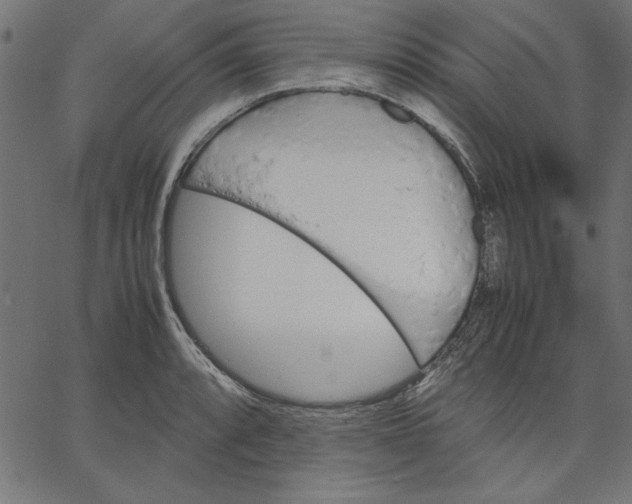 X0000067831088200604271548