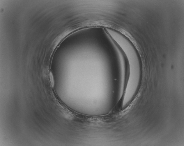 X0000067831089200604271548