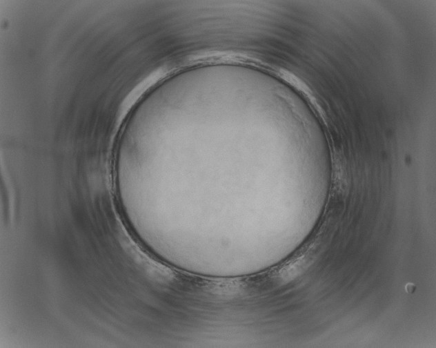 X0000067831090200604271548