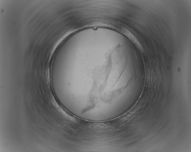 X0000067831092200604271548