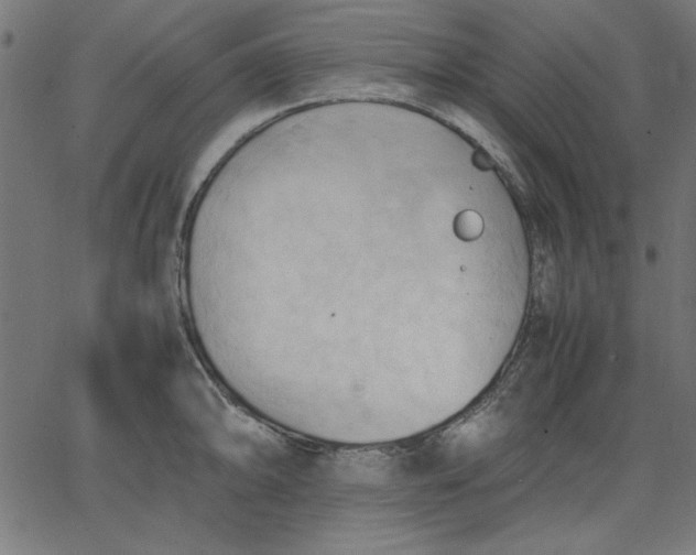 X0000067831094200604271548