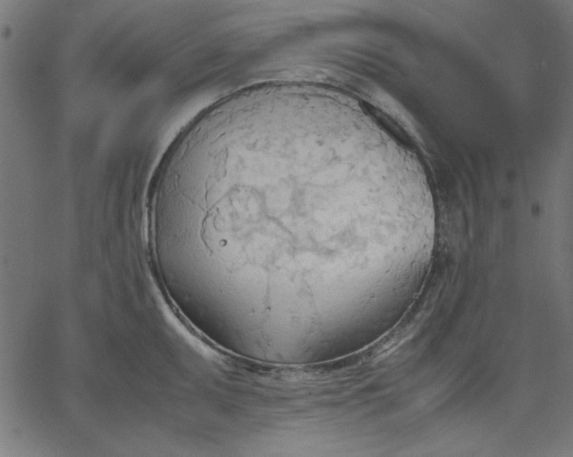 X0000067831095200604271548