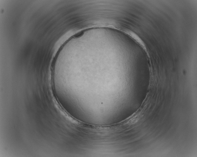 X0000067831096200604271548