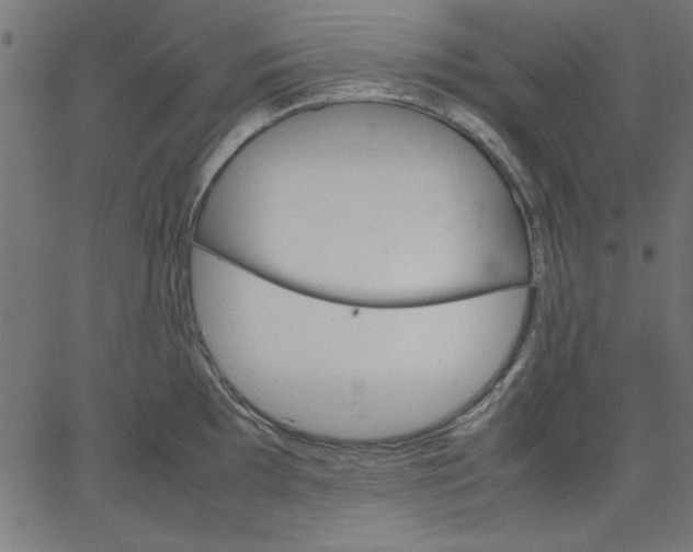 X0000067831097200604271548