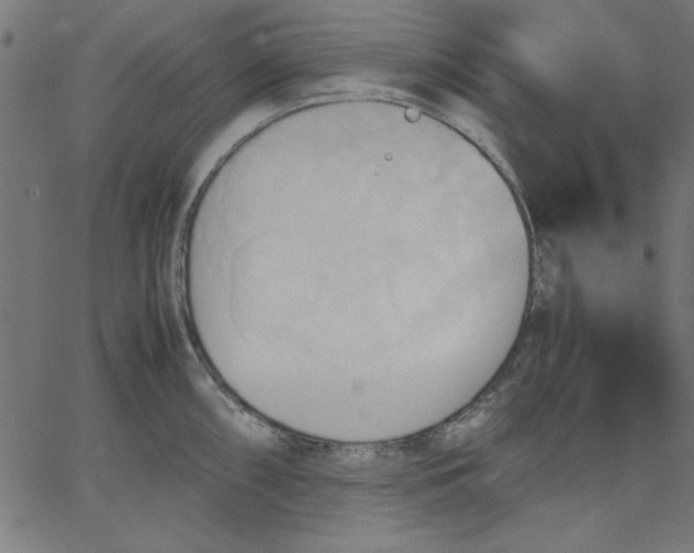 X0000067831098200604271548