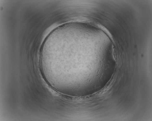 X0000067831099200604271548