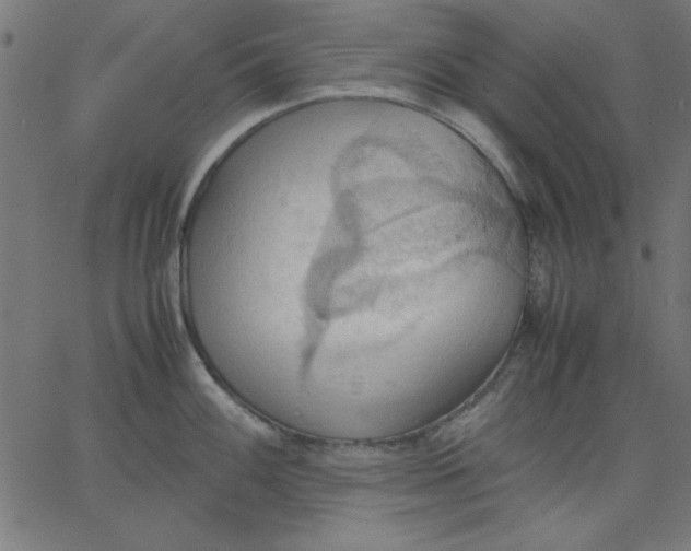 X0000067831100200604271548