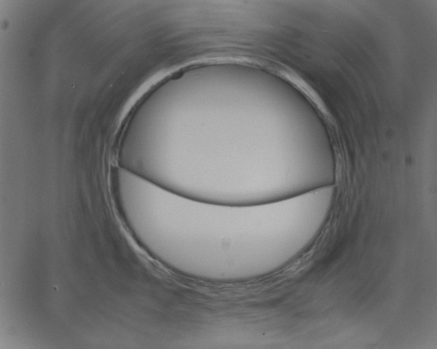 X0000067831101200604271548