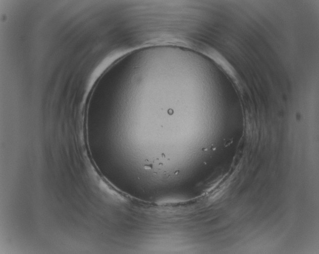 X0000067831102200604271548