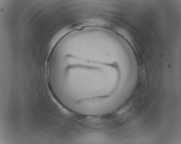 X0000067831103200604271548