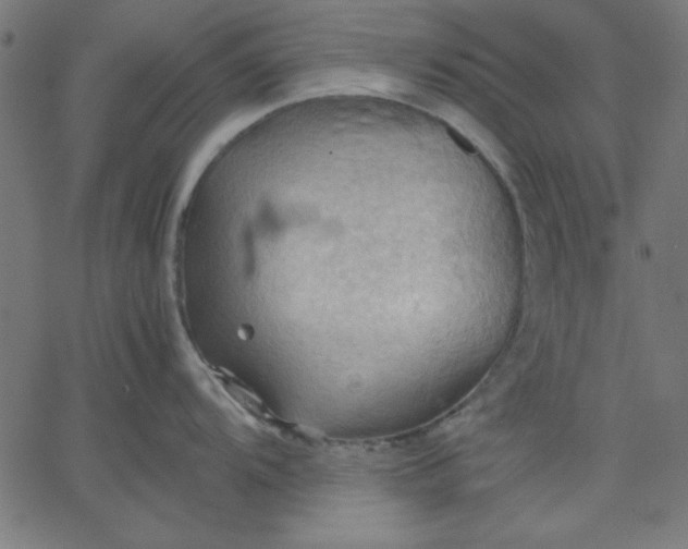 X0000067831104200604271548