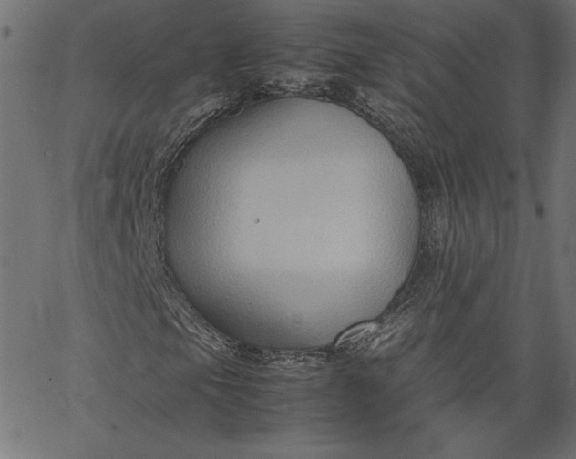 X0000067831105200604271547