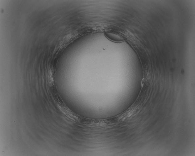 X0000067831106200604271547