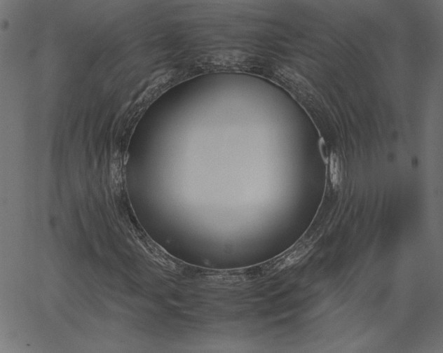 X0000067831107200604271547