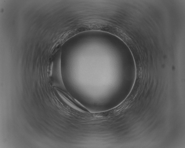 X0000067831108200604271547