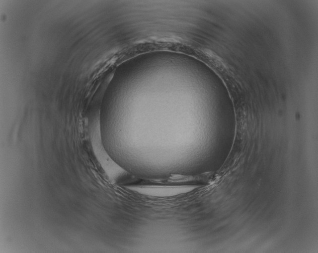 X0000067831110200604271547