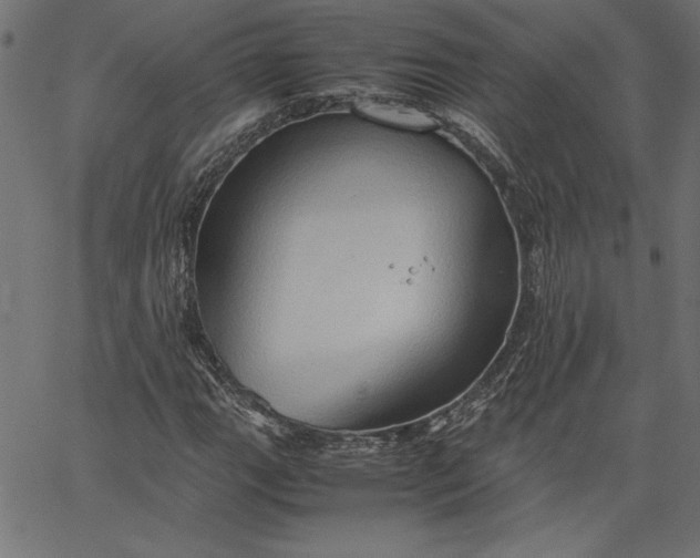 X0000067831111200604271547