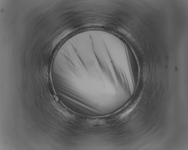 X0000067831113200604271547