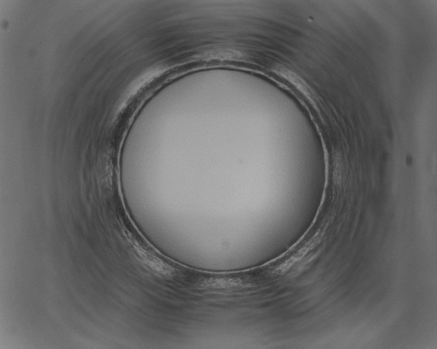 X0000067831115200604271547